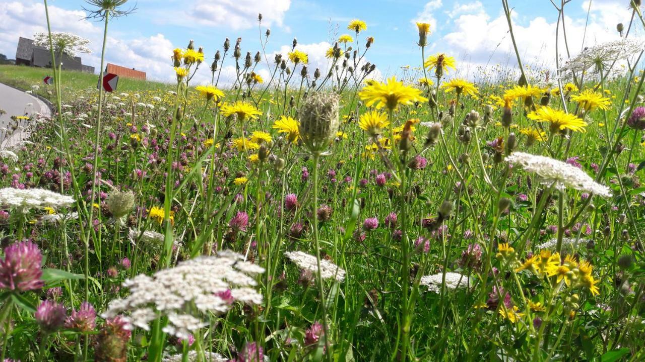 Gemuetliches Haeuschen Im Alten Land Jork Bagian luar foto