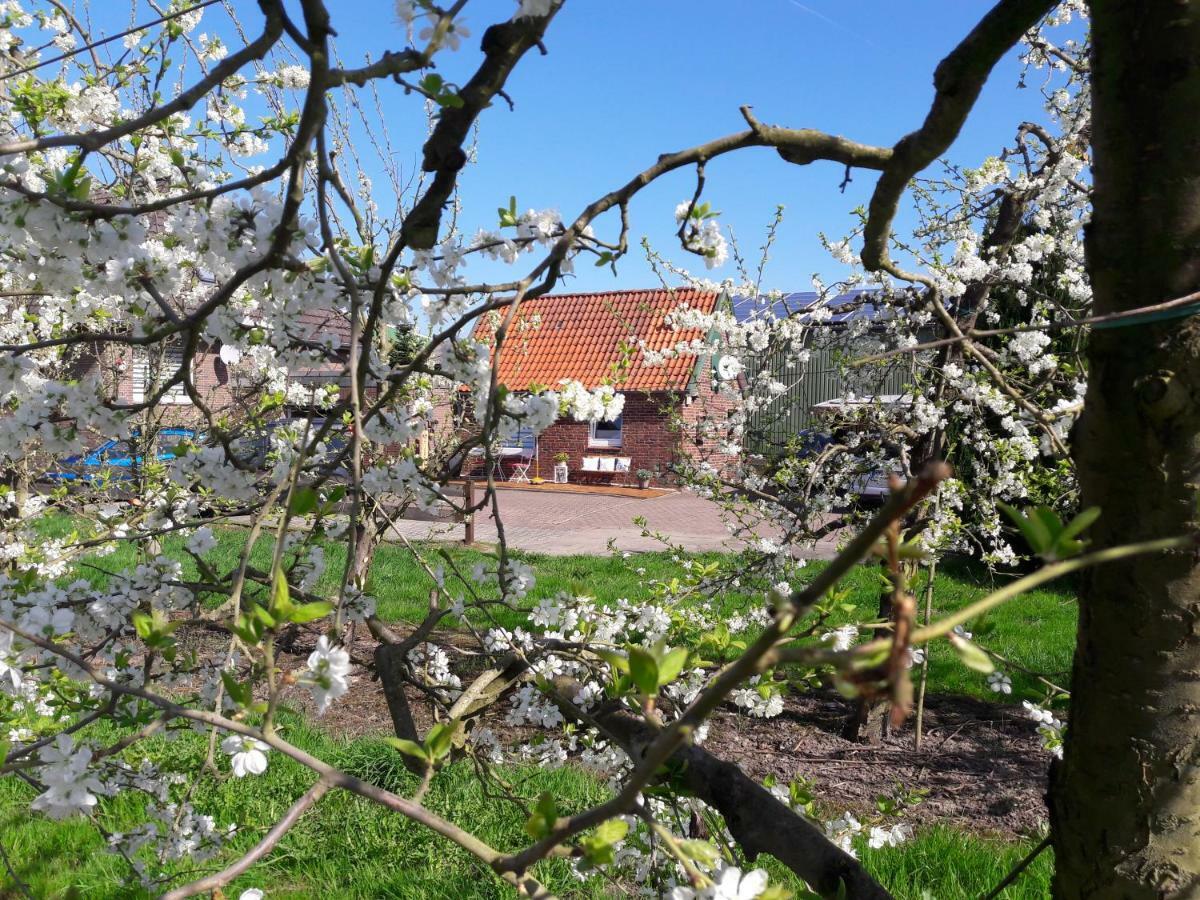 Gemuetliches Haeuschen Im Alten Land Jork Bagian luar foto