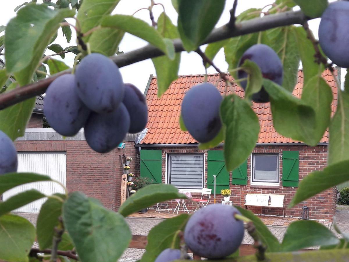 Gemuetliches Haeuschen Im Alten Land Jork Bagian luar foto